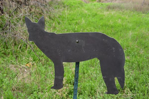 MLS North American Small Animal Shapes