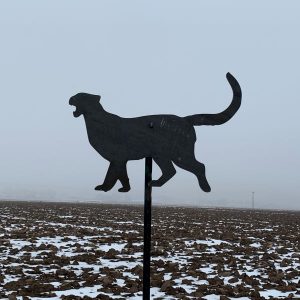 Cougar