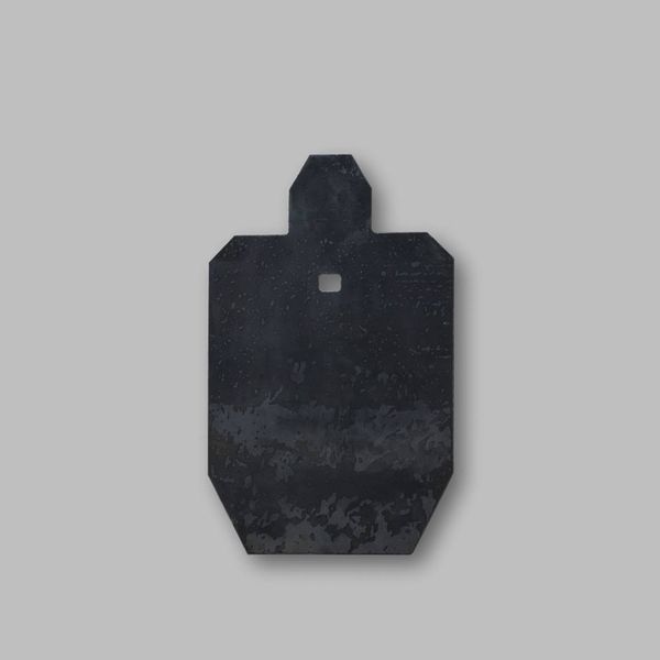MLS Target Plate Only, IPSC Based - Image 3