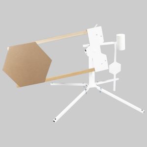 Swinger Target